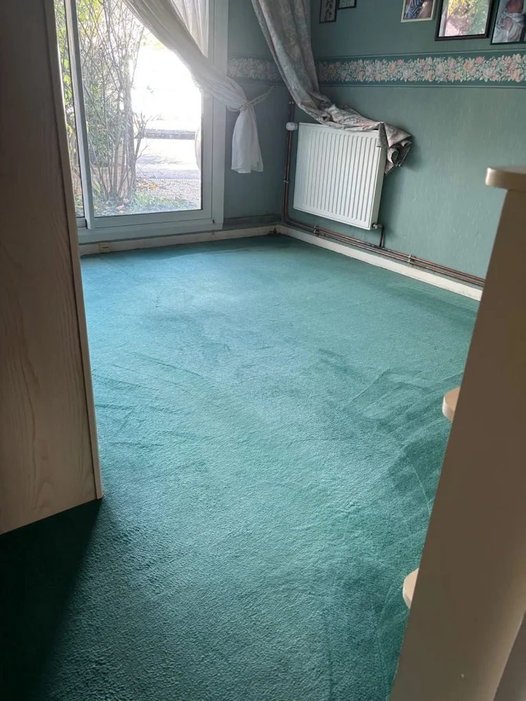 Pièce vide avec tapis vert et fenêtre